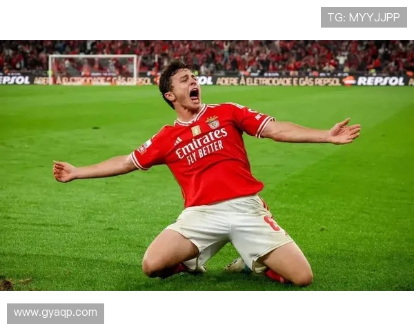 五大联赛之外欧洲俱乐部身价排名揭晓葡萄牙体育波尔图本菲卡位居前三